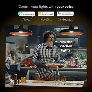 LED Smart Light (Requires Hue Hub, Works with Alexa, HomeKit & Google Assistant)